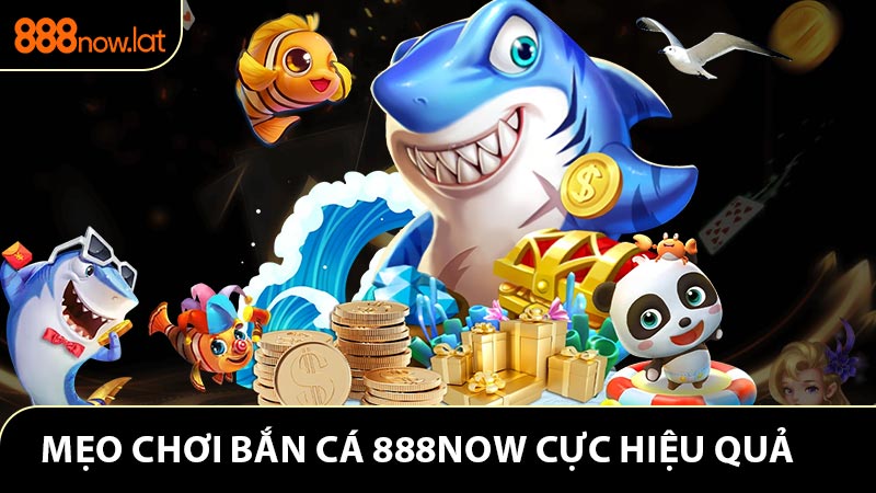 Mẹo chơi bắn cá 888now cực hiệu quả từ chuyên gia
